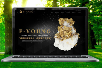 �Թ��������ﱦʯ